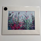 'Go Wild' A4 Giclee Print